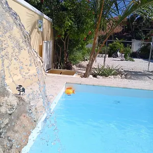 Ave Fenix , Punta Cana República Dominicana